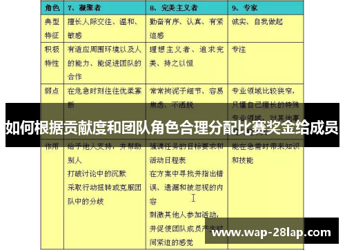 如何根据贡献度和团队角色合理分配比赛奖金给成员