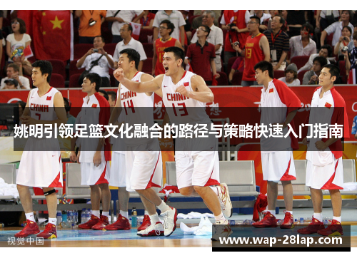 姚明引领足篮文化融合的路径与策略快速入门指南